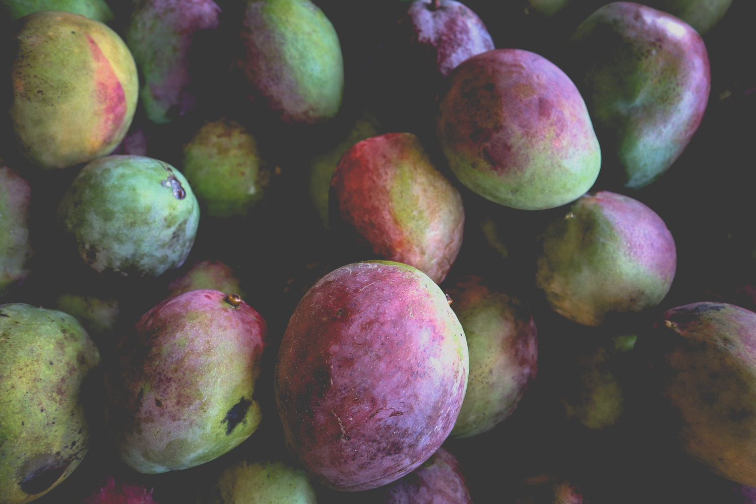 100% vegan, cruelty-free, Plant-based, active skincare for Australian women. We use Kakadu Plum in some of our skincare products.